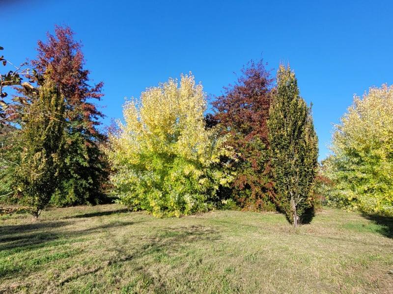 Local commercial - 280 m² - 5 pièces