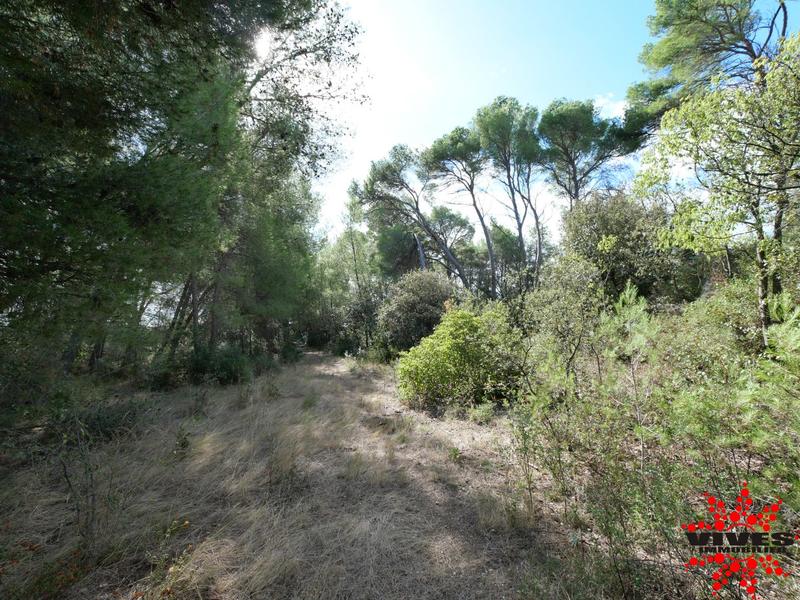 Terrain de loisirs - 23 990 m²