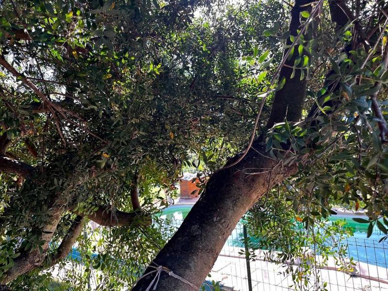 Maison - 138 m² - 6 pièces