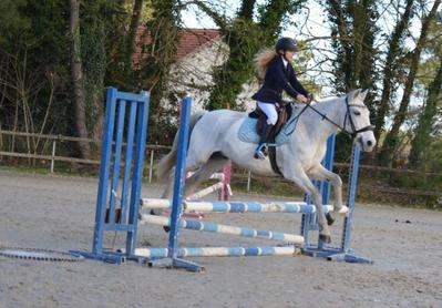 Concours de sauts d'obstacles au Centre équestre