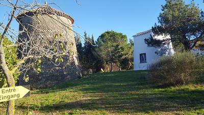 Local commercial - 386 m² - 20 pièces