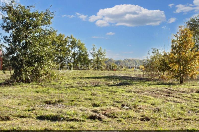 Terrain - 644 m²
