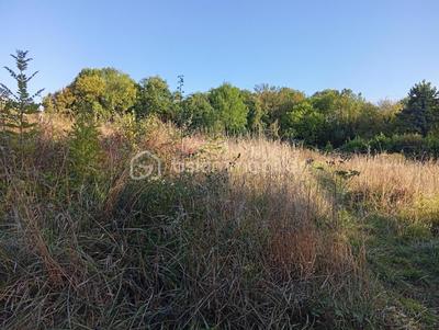 Terrain de loisirs - 2 729 m²