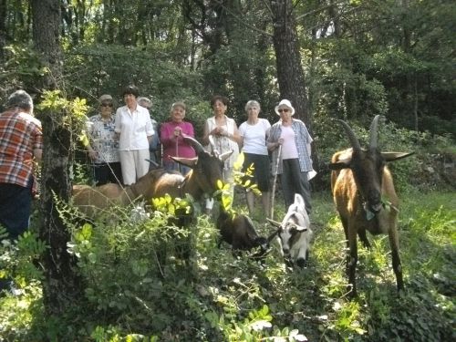 La Petite Ferme des 3.6.9