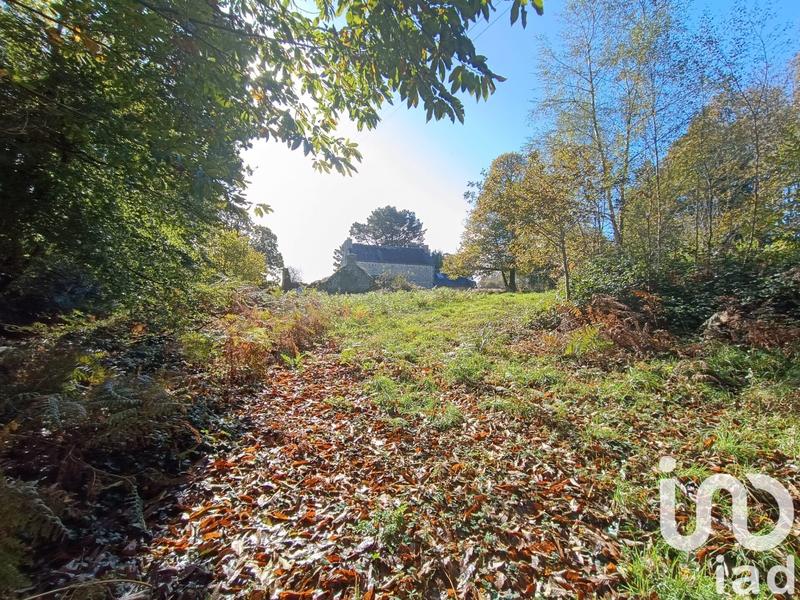 Maison de campagne - 150 m² - 5 pièces