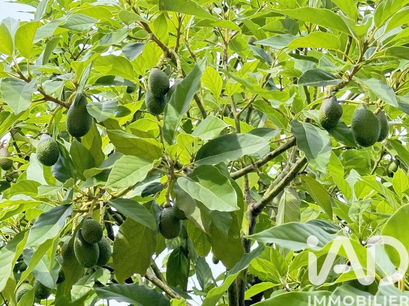 Maison - 187 m² - 7 pièces