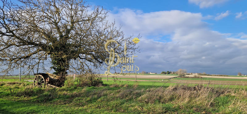 Maison - 270 m² - 10 pièces