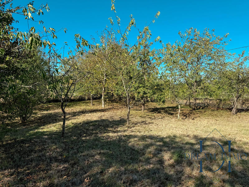 Maison - 196 m² - 5 pièces