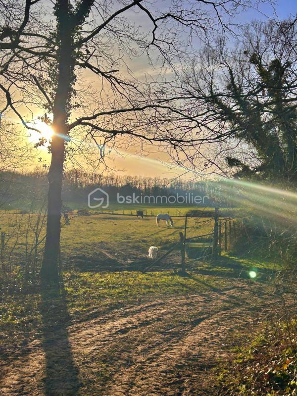 Terrain de loisirs - 1 416 m²