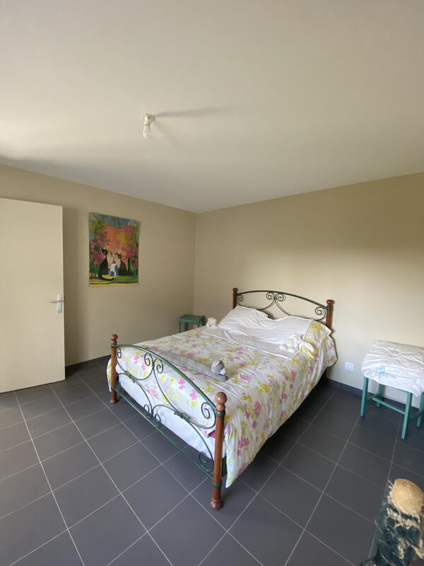 Viager - Maison - 168 m² - 5 pièces