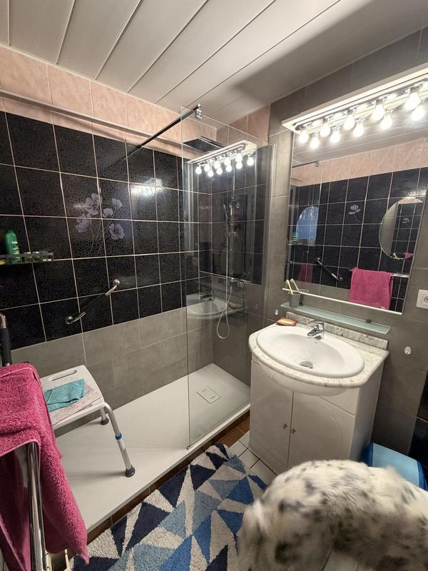 Maison traditionnelle - 207 m² - 10 pièces