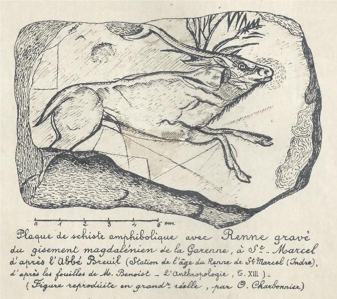 Visite au musée : les salles de la préhistoire