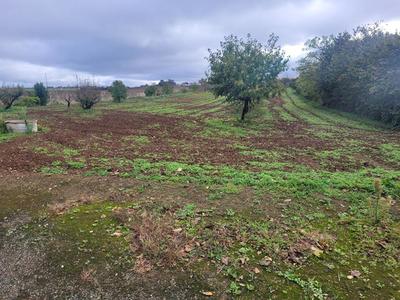 Terrain constructible - 3 000 m²