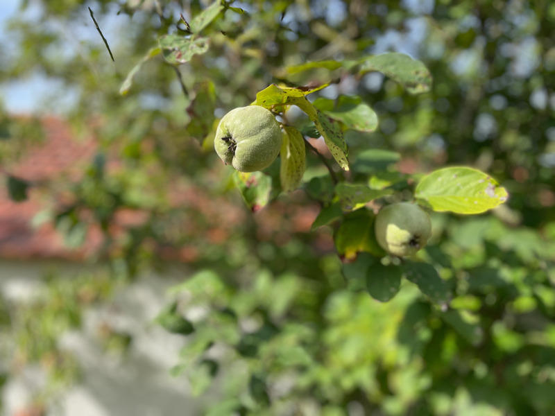 Longère - 97 m² - 5 pièces