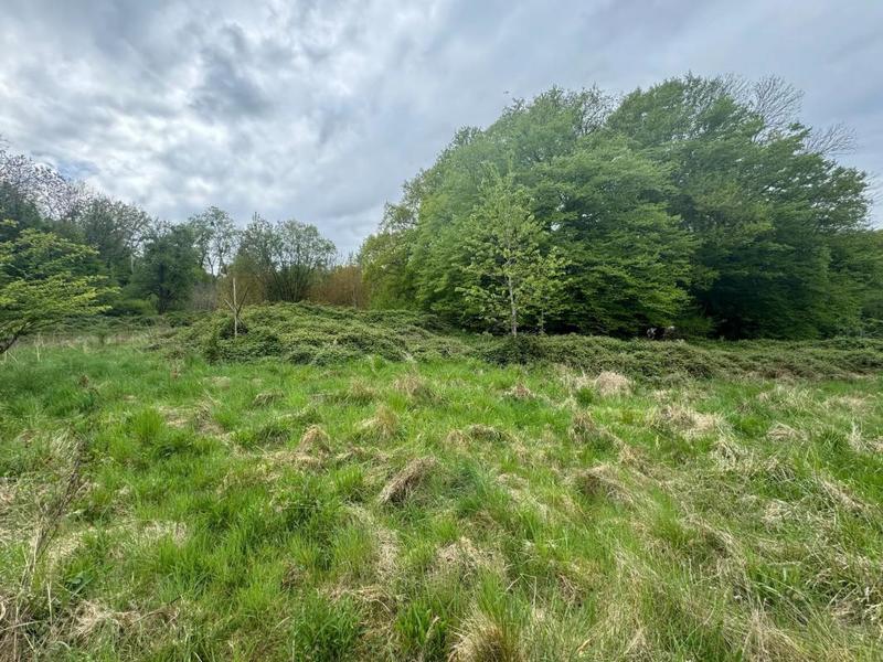 Maison - 210 m² - 7 pièces