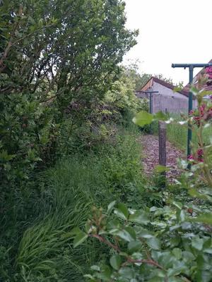 Propriété - 150 m² - 5 pièces