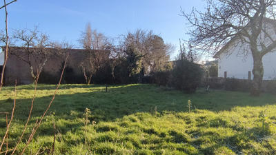 Terrain - 184 m²