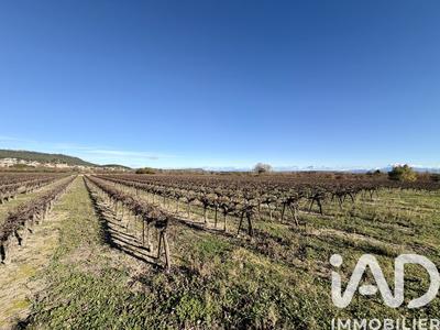 Terrain agricole - 9 227 m²