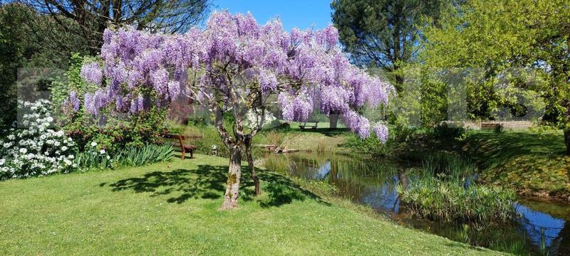 Maison en pierre - 140 m² - 4 pièces
