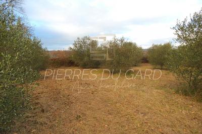 Terrain agricole - 9 299 m²
