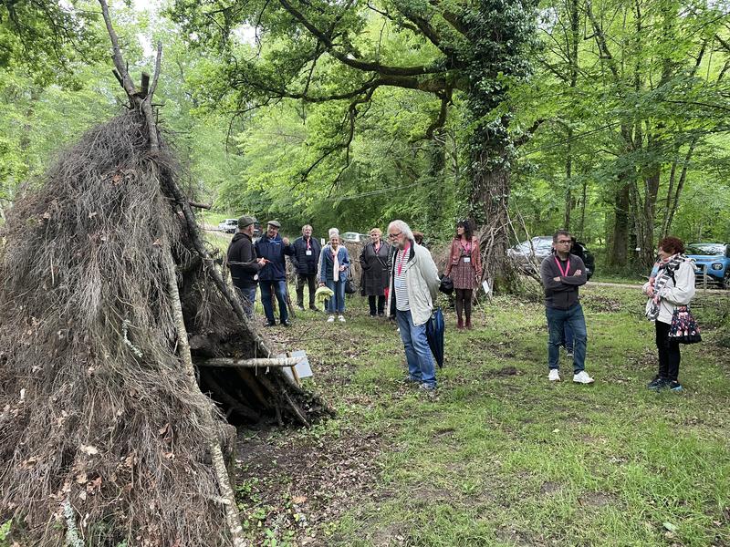 Journée internationale des forêts : randonnée botanique et poétique