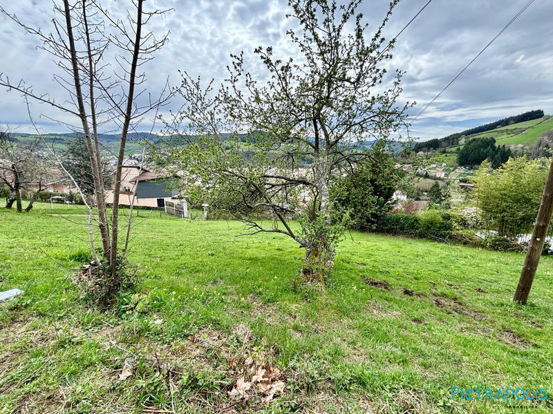 Terrain - 905 m²