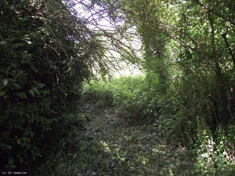 Terrain constructible - 1 271 m²