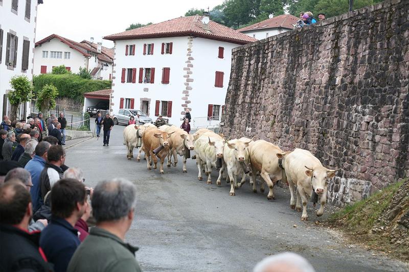Portes ouvertes de la Vallée des Aldudes