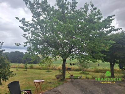 Maison ancienne - 520 m² - 12 pièces