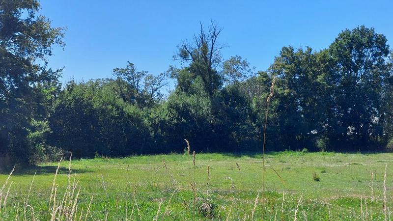 Terrain constructible - 4 515 m²