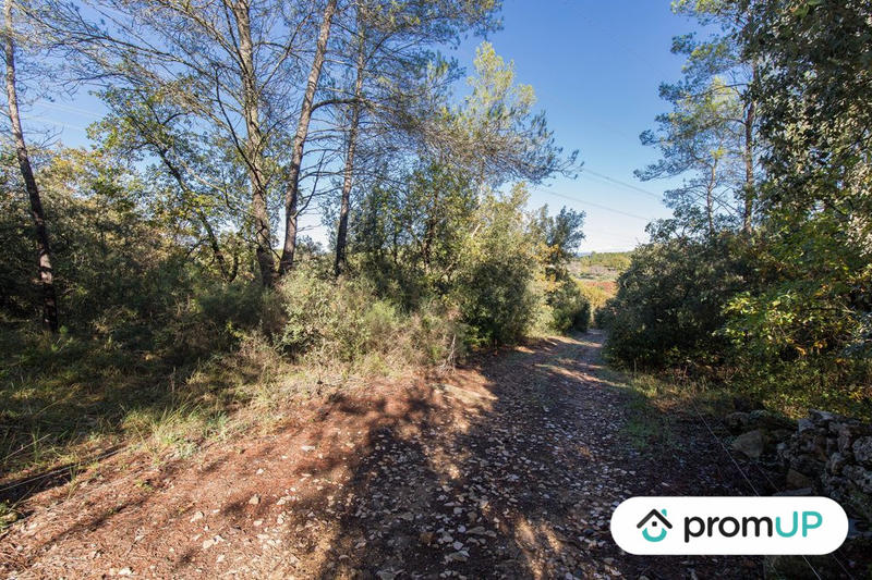 Terrain agricole - 9 625 m²