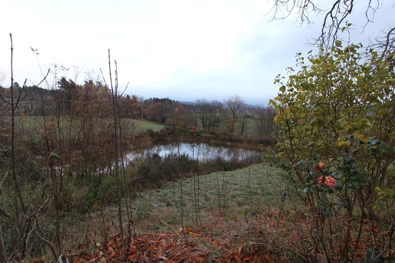 Propriété - 330 m² - 19 pièces