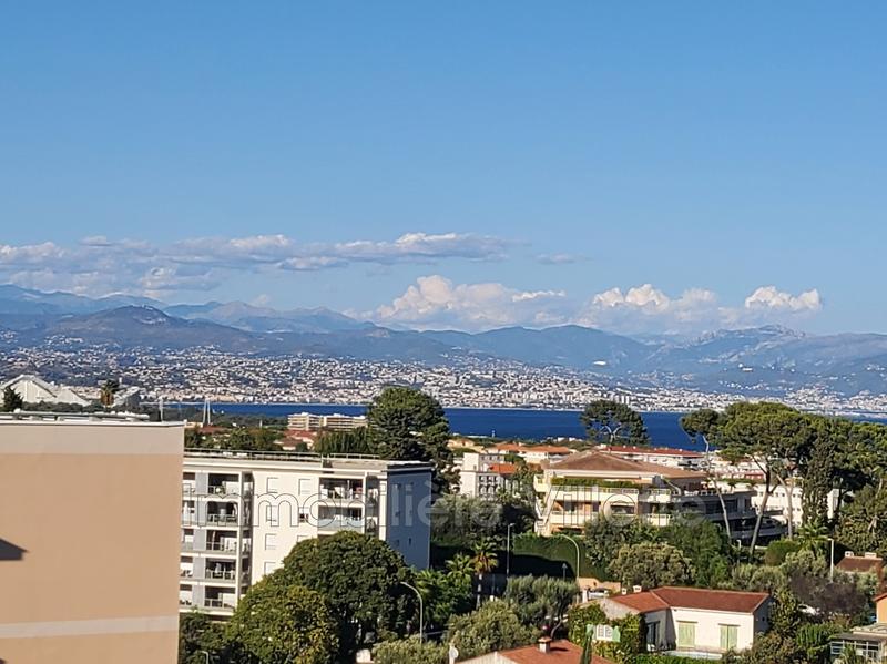 Appartement - 25 m² - 1 pièce