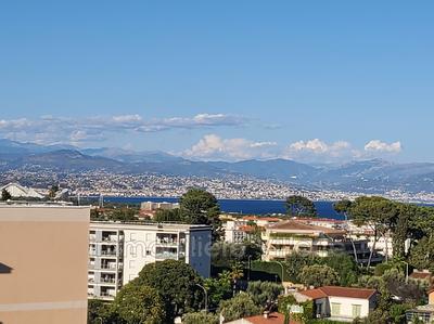 Appartement - 25 m² - 1 pièce