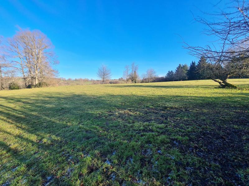 Terrain - 17 182 m²