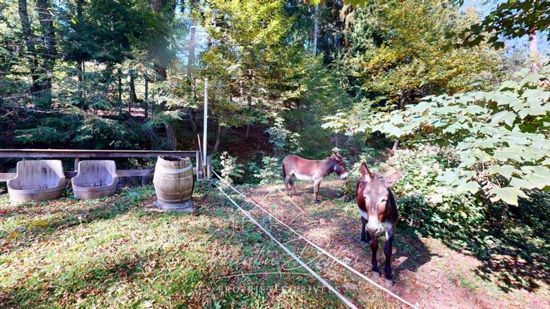 Propriété - 490 m² - 10 pièces