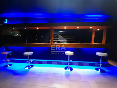 Maison - 312 m² - 10 pièces