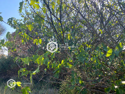 Terrain de loisirs - 1 319 m²