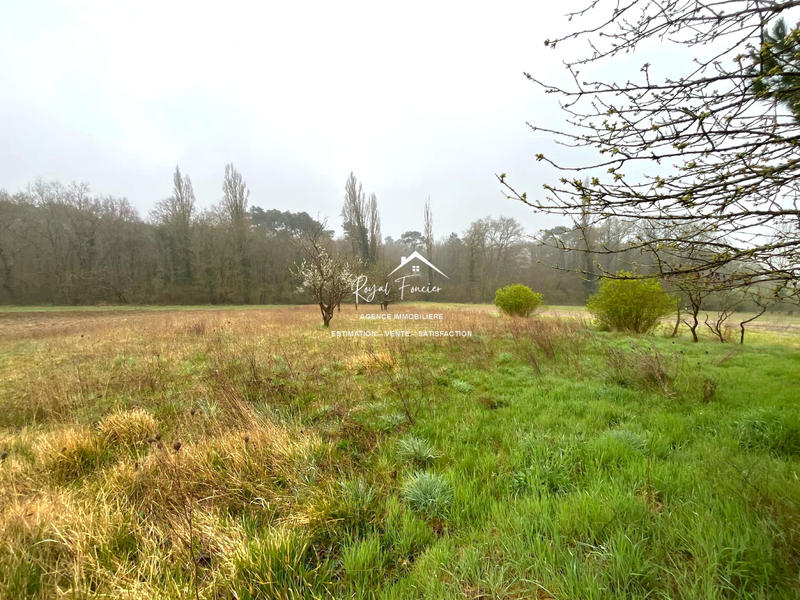 Maison ancienne - 84 m² - 4 pièces