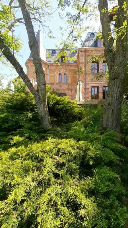 Château - 483 m² - 18 pièces