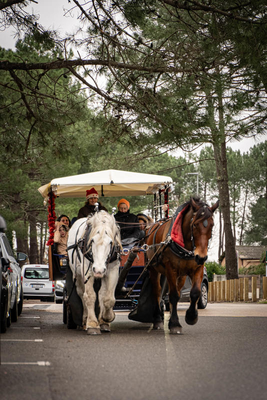 La calèche de Noël ● Noël 2025