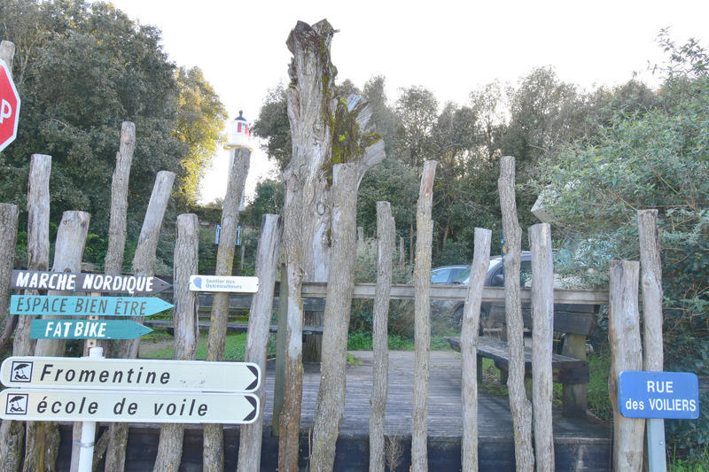 Studio - 29 m² - 1 pièce