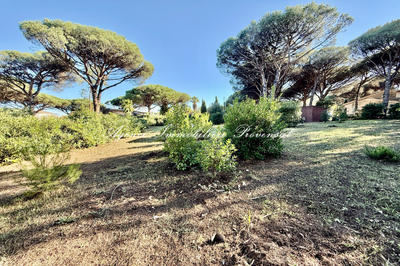 Terrain - 1 903 m²