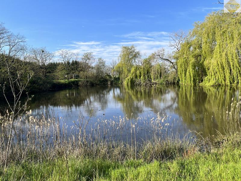 Maison - 234 m² - 8 pièces