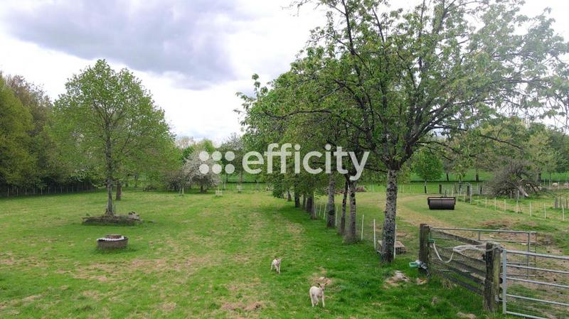 Maison de domaine équestre - 165 m² - 8 pièces