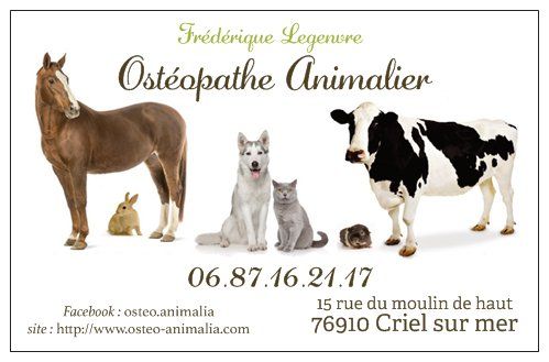Ostéopathe Animalier