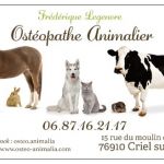 Ostéopathe Animalier