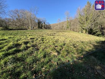 Maison - 214 m² - 9 pièces