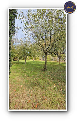 Manoir - 340 m² - 8 pièces