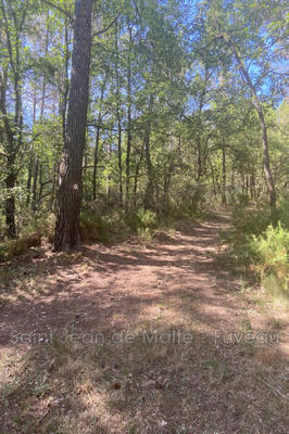 Terrain de loisirs - 5 107 m²